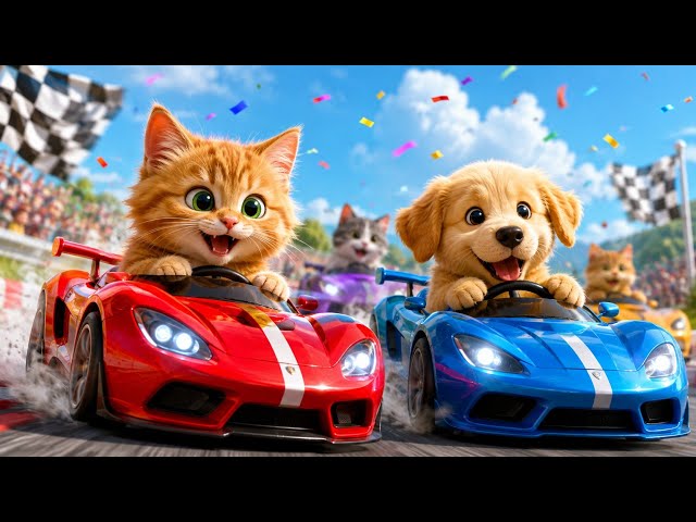 Cute Cats & Puppy Racing Adventure | Fun Kids Video | Funny Cat Cartoon for Toddlers