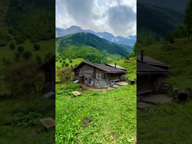 Charming Switzerland #switzerland #shorts #lauterbrunnen #grindelwald #swissbeauty