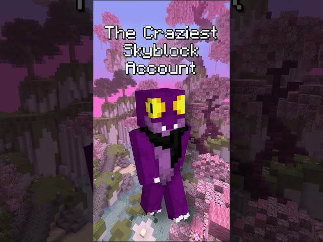 One of the Craziest Accounts in Skyblock's History  #hypixelskyblock #minecraft #hypixelpartner