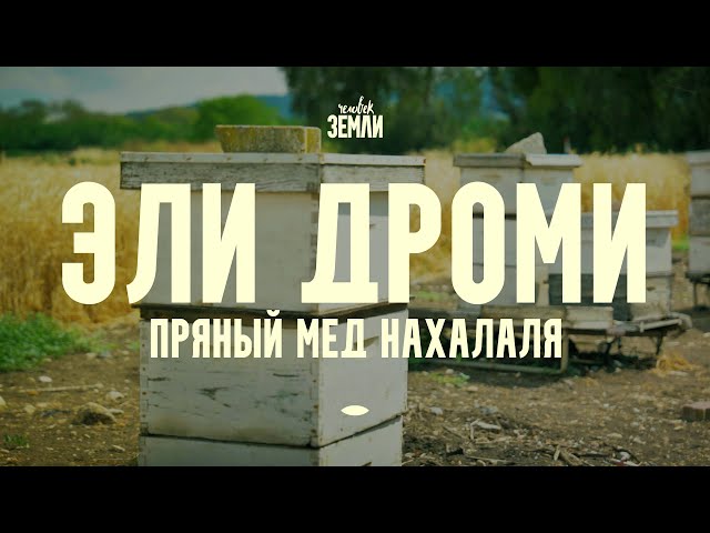 Эли Дроми: пряный мед Нахалаля || Человек земли