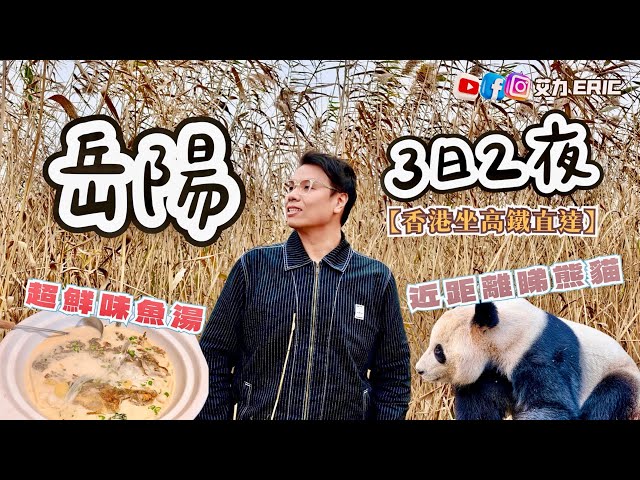 【3日2夜】意想不到岳陽咁好玩！超近距離接觸熊貓！品嚐勁鮮嘅魚湯！按摩$169包自助餐，仲要免小費！