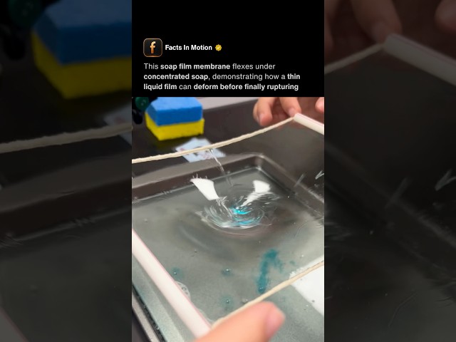 Soap Membrane Experiment 🫧