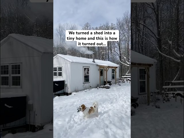 We turned a SHED into a tiny home