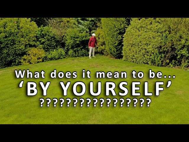 What does 'by yourself' mean? - Do we say 'themself' or 'themselves?