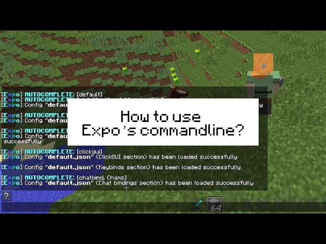 How to use Expo client's commandline?