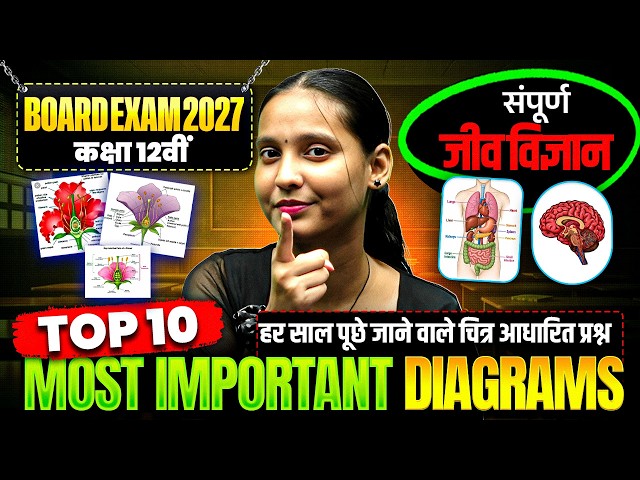 Class 12 Biology के TOP 10 Most Important Diagrams🔥| 12th Biology Imp Diagrams | Nidhi Ma’am