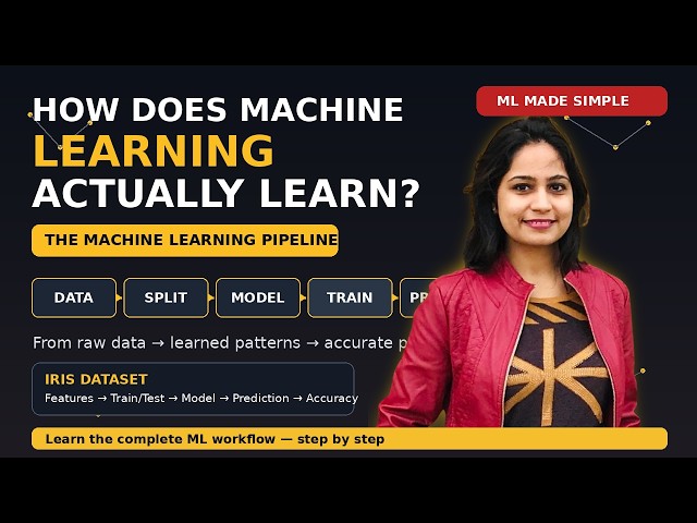 1. Machine Learning Foundations | How Does a Machine Actually Learn? | IRIS Dataset