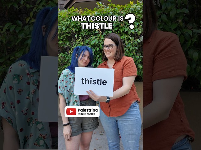 What Colour is THISTLE? Ft: @Little Remy Food 🐭🍝 ​⁠@Evan and Katelyn @Karen Puzzles @Ali Spagnola