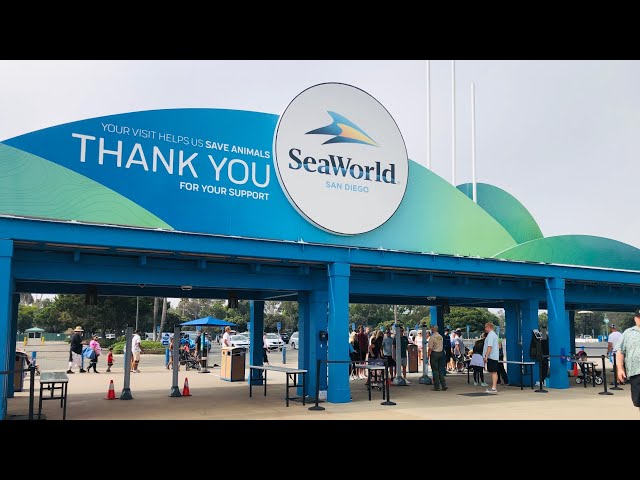 SeaWorld San Diego, the ultimate tour including all the Shows & Rides, CA, USA 🇺🇸