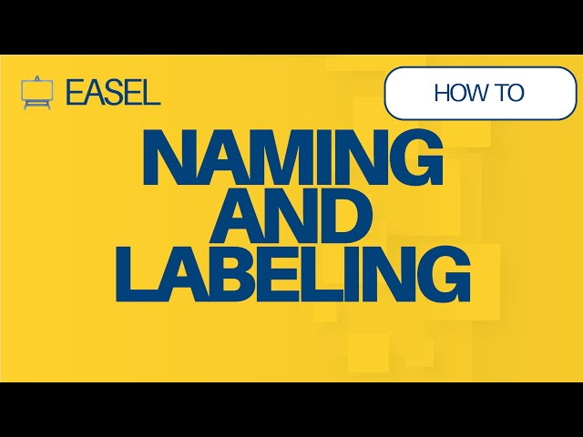 Naming and Labeling Projects in Easel Software