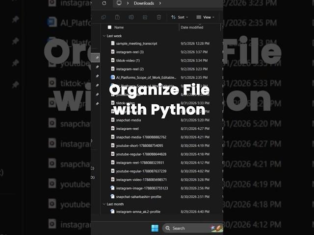 Organize Files With Python | Python automation | #python #automation
