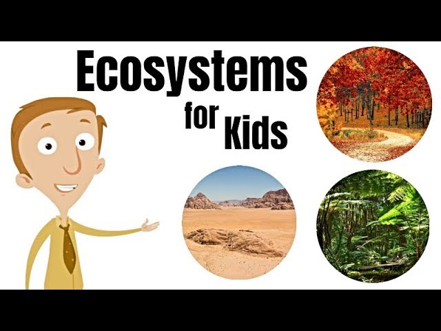 Ecosystems for Kids | Plants, Animals, & Their Environment
