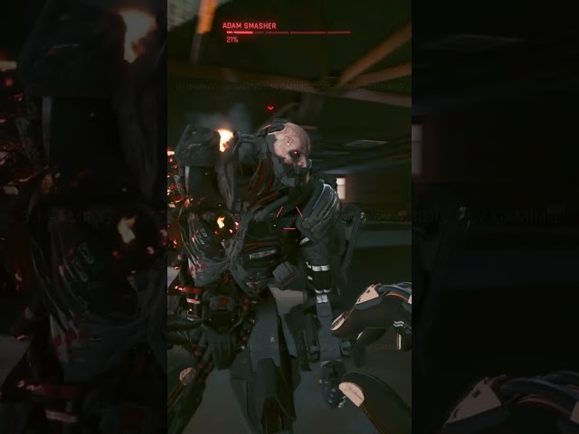 Jotaro Vs Pucci in Cyberpunk 2077 (Extract 4)