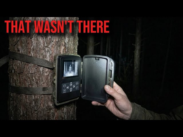 3 Campers Left Trail Cams Out Overnight. One Came Back With Extra Footage