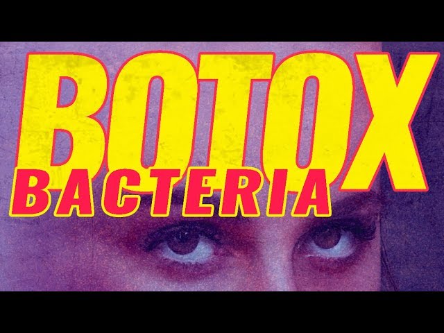 Where BOTOX comes from (dangerous bacteria!) and how botox works
