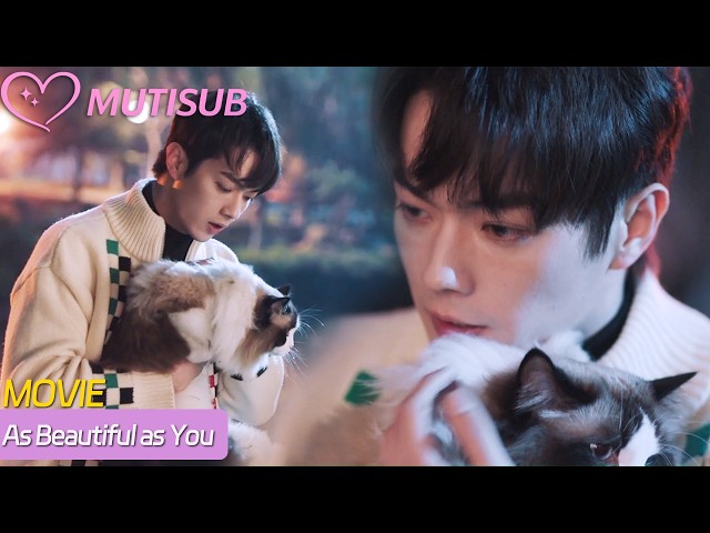 【Full Movie】Cinderella’s cat goes missing, CEO jumps into river at night to save it!🥹