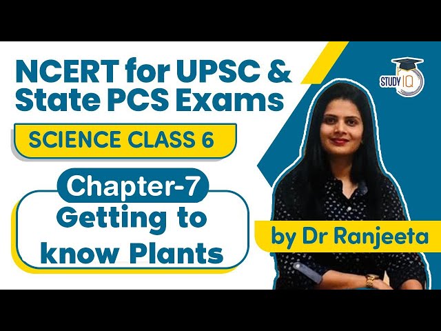 NCERT for UPSC & State PCS Exams - NCERT Science Class 6, Chapter 7 Getting To Know Plants