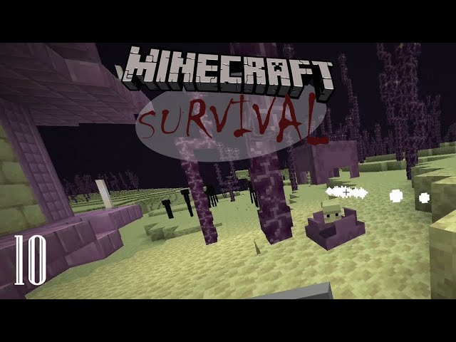 So Many Heads! | Minecraft Survival | Ep 10
