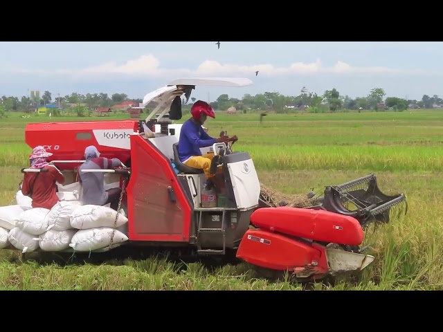 KOMBI SAWAH KUBOTA DCX100 COVER BAKET MIRIP DC70