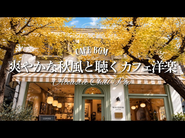 【Autumn Cafe Pop☕Study/Work BGM】Morning Breeze Vibes🍂Acoustic Chill Pop｜Autumn Cafe Music
