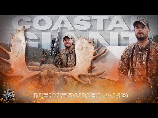 EPIC Newfoundland Coastal Giant (Moose Hunting) | Canada in the Rough