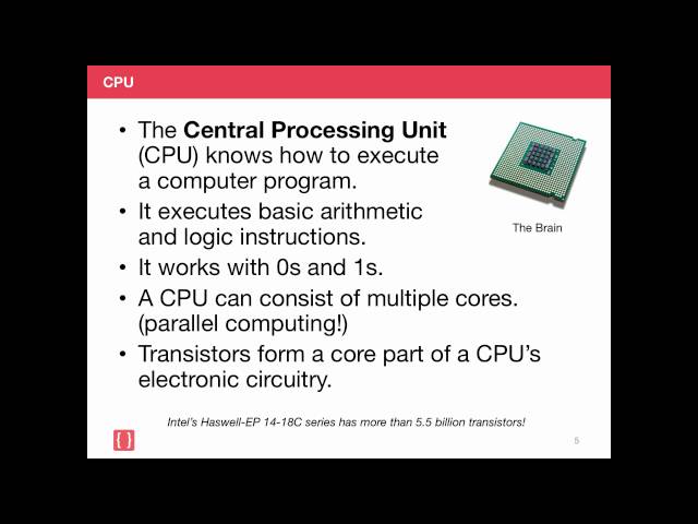 Computer Science Basics for Business (Cognitir Learning)