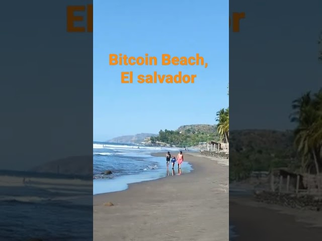 #bitcoin beach - El Zonte