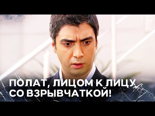 What Kind of Flower Is This? | Polat Alemdar