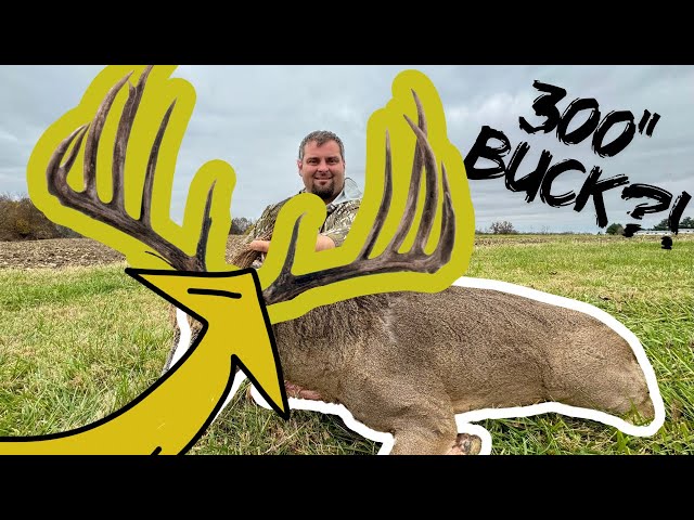 WORLD RECORD WHITETAIL BUCK?! | 300” Illinois WHITETAIL | How To Measure A Deer