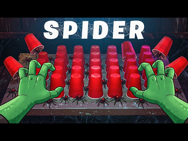 Spider Roulette BROKE ME