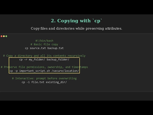ShellScriptingLesson17