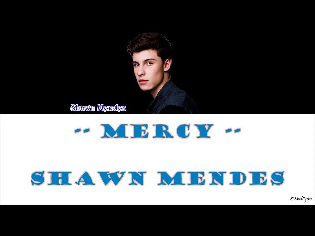 Shawn Mendes - Mercy (ENG_IND_Lyrics)