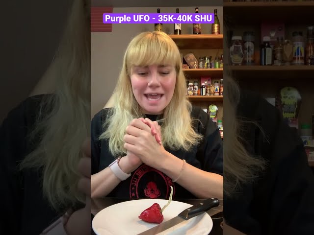 Purple UFO Pepper From Jimmy Pickles Pepper Company