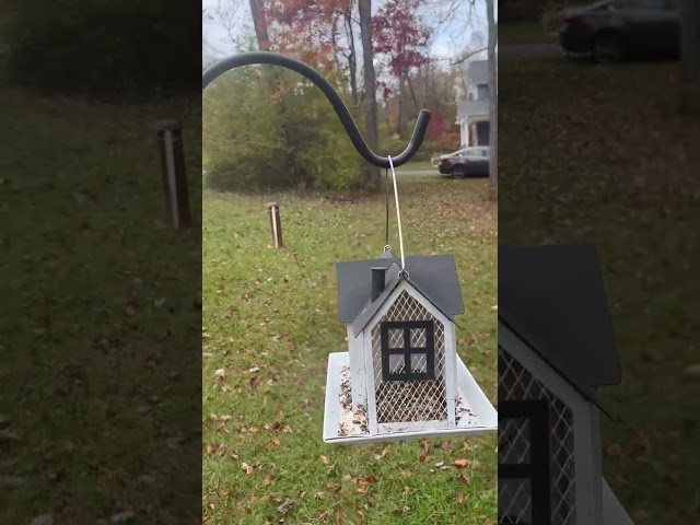 Honest review of outdoor shepherds hook for bird feeder