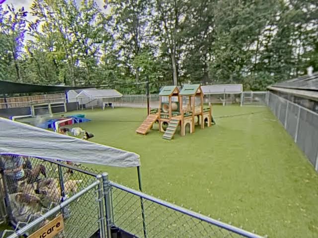 Daycare Play Yard 2
