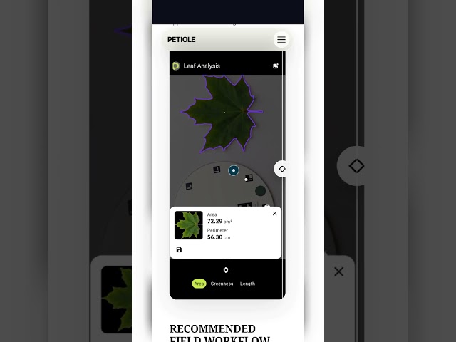 adding more leaves to our blog