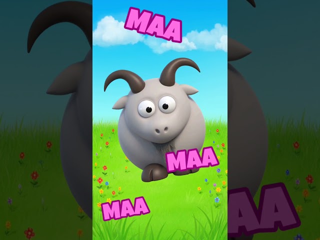 Animal Sounds Song #Shorts #nurseryrhymes #kidssongs #foryou