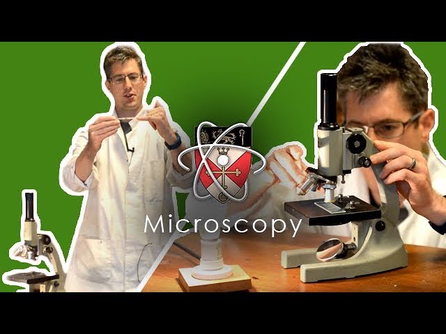 Microscopy - How to use a microscope - GCSE Science Required Practical