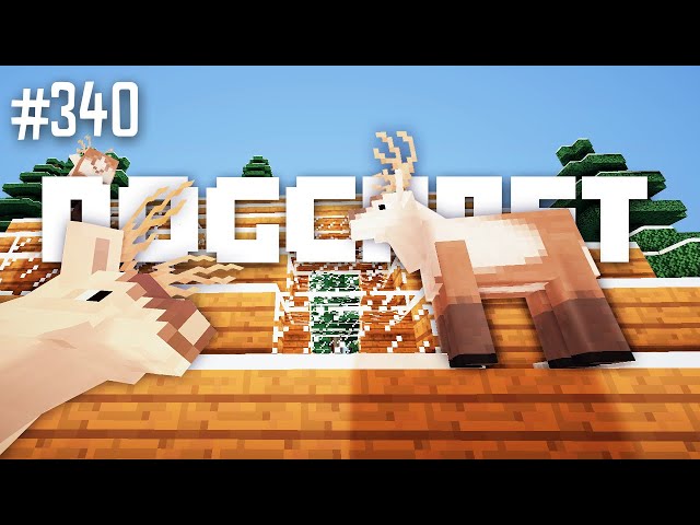 Up on the Wooftop | Dogcraft (Ep.340)