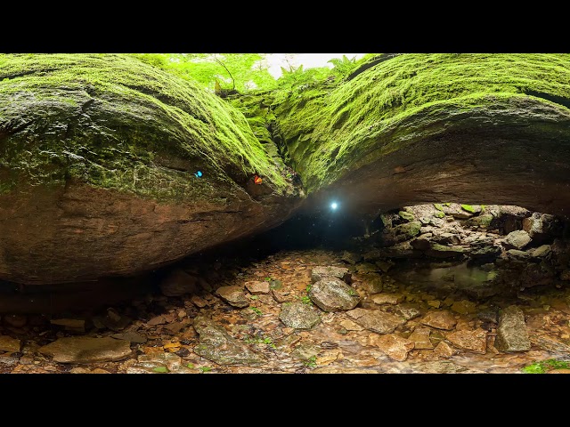 The Cave of Relaxation