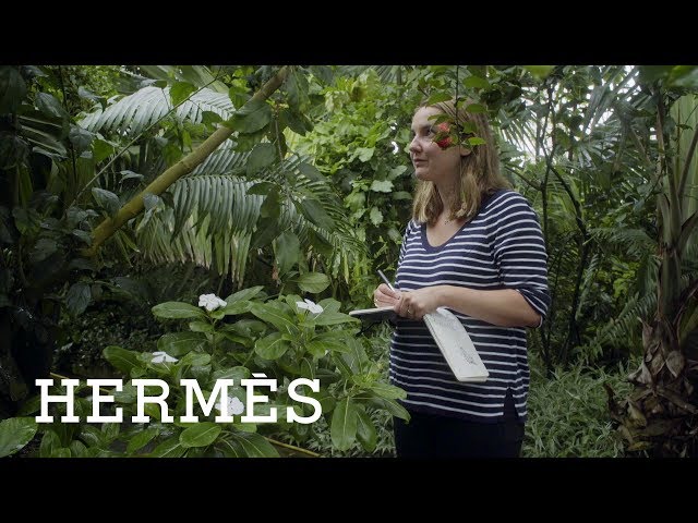 The beauty of nature inspires Hermès’ silk scarves designers | Hermès Footsteps Across The World