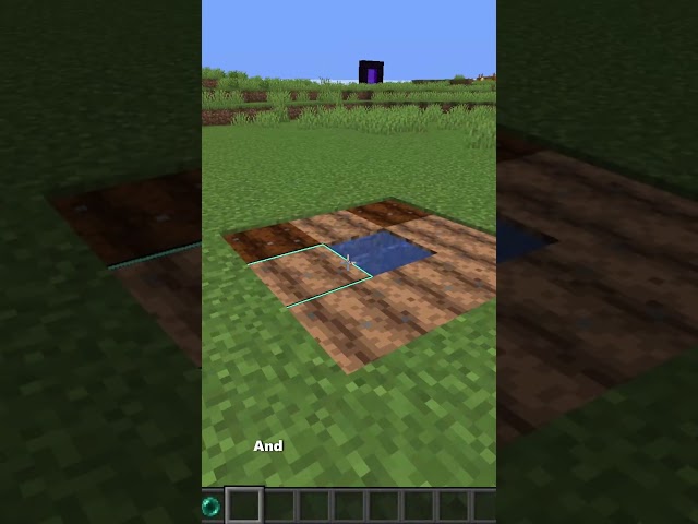 Which one is fake? 🤨 #minecraft