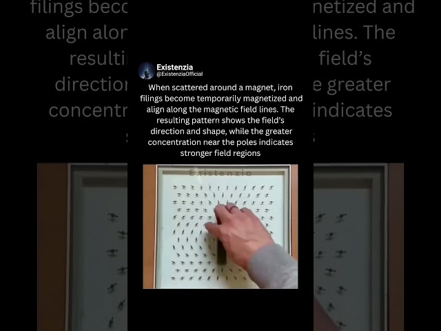 How Iron Filings Reveal Magnetic Fields