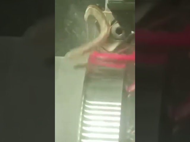 Ceramica turning