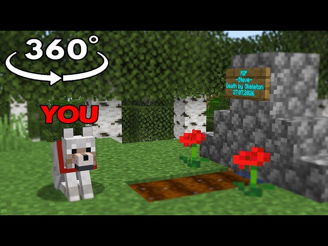 360° POV: You're a DOG but STEVE died