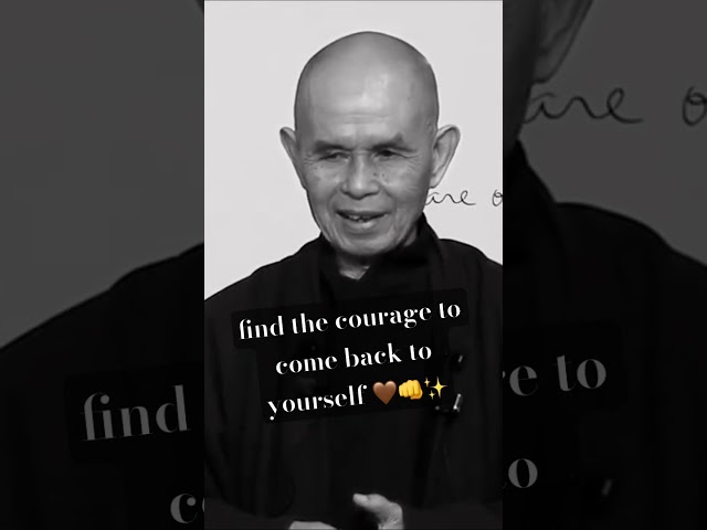 You don’t need to run away. You can choose to be there for yourself 🙏 #zen #meditation #plumvillage