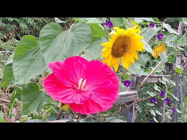 The Astrology of September 10, 2026: New Moon in Virgo...