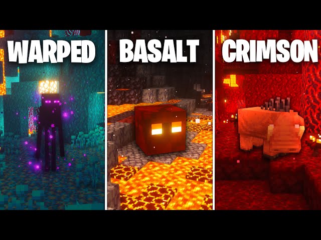 100 Players Survive in EVERY NETHER BIOME