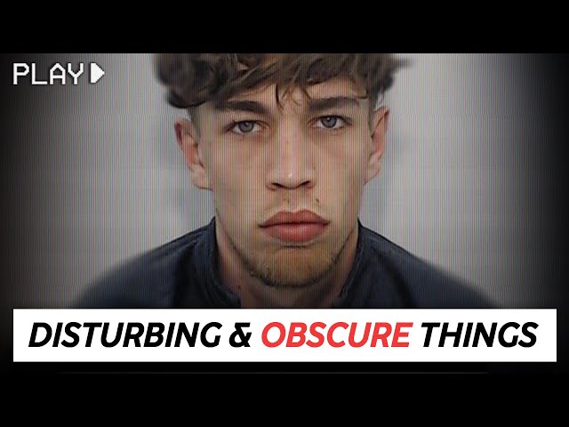 Disturbing Things From our World [Vol. 65]