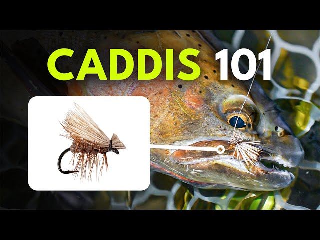 How To Match the Hatch with Caddis — Fly Selection Tips | Episode 8